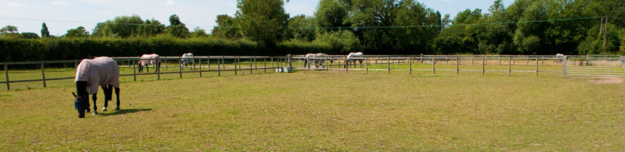 Equine Recuperation - Binfield Berkshire, the Equine Recuperation Centre is a recently opened, family run business in picturesque Binfield near Ascot and Bracknell