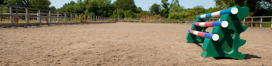 Equine Recuperation - Facilities, the Equine Recuperation Centre is a recently opened, family run business in picturesque Binfield near Ascot and Bracknell